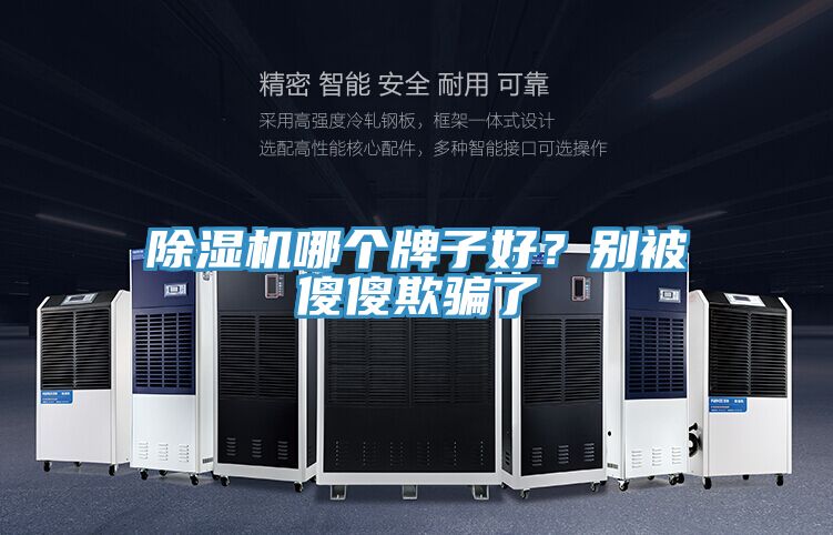 除湿机哪个牌子好？别被傻傻欺骗了