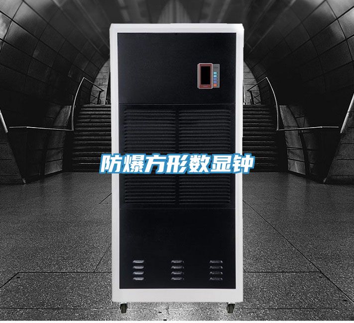 防爆方形数显钟