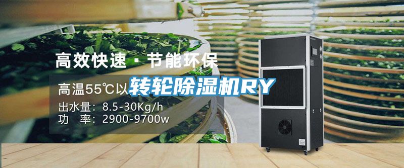 转轮除湿机RY