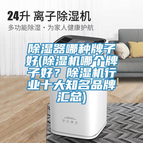 除湿器哪种牌子好(除湿机哪个牌子好？除湿机行业十大知名品牌汇总)