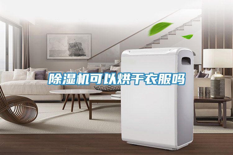 除湿机可以烘干衣服吗