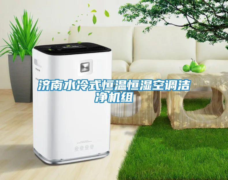 济南水冷式恒温恒湿空调洁净机组