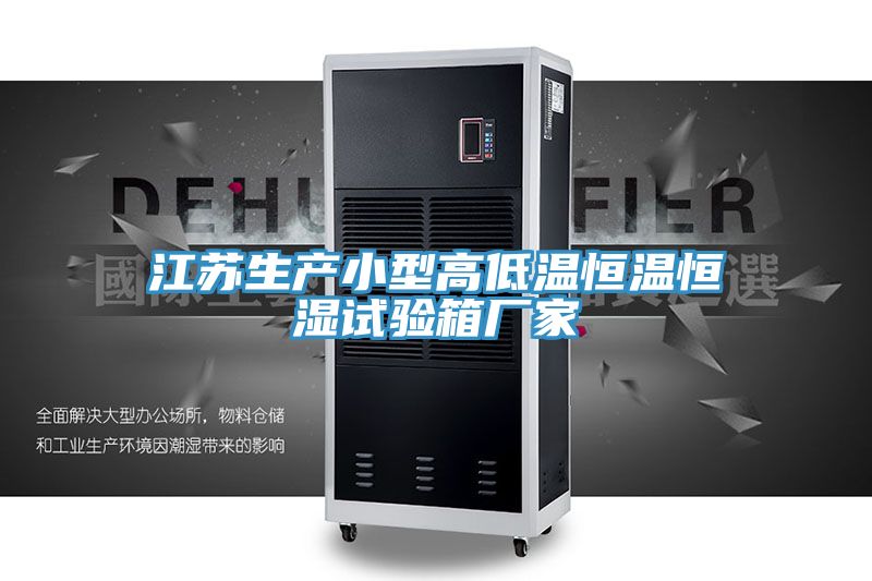江苏生产小型高低温恒温恒湿试验箱厂家