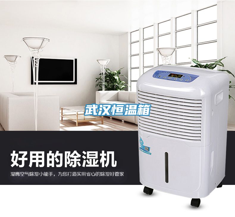 武汉恒温箱