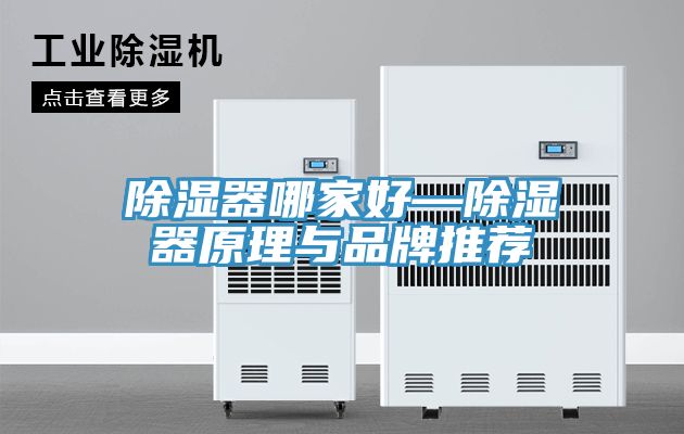 除湿器哪家好—除湿器原理与品牌推荐