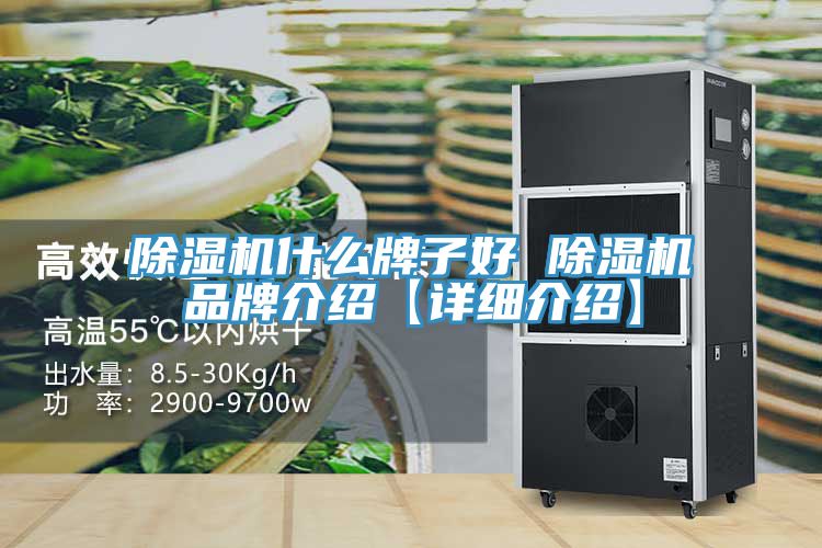 除湿机什么牌子好 除湿机品牌介绍【详细介绍】