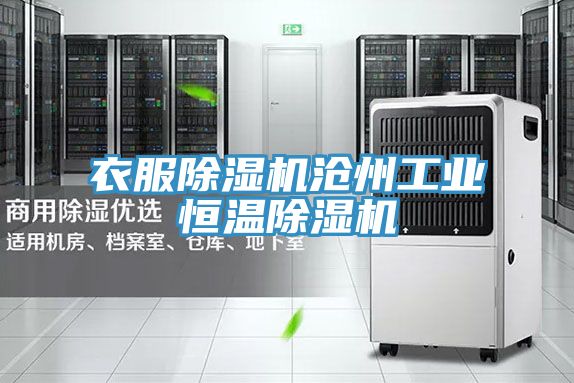 衣服除湿机沧州工业恒温除湿机