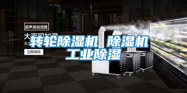 转轮除湿机 除湿机 工业除湿
