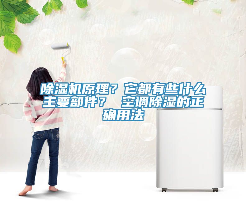除湿机原理？它都有些什么主要部件？ 空调除湿的正确用法