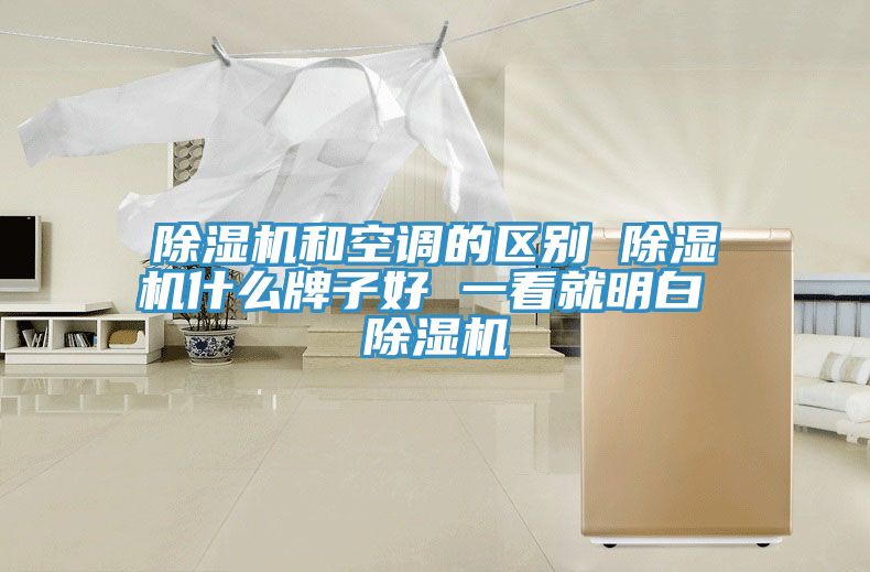 除湿机和空调的区别 除湿机什么牌子好 一看就明白 除湿机