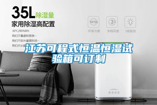 江苏可程式恒温恒湿试验箱可订制