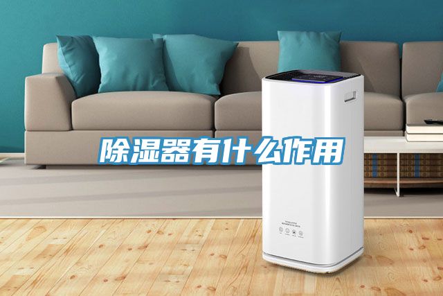 除湿器有什么作用