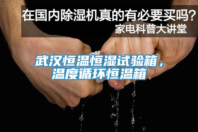 武汉恒温恒湿试验箱，温度循环恒温箱