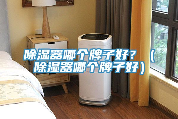 除湿器哪个牌子好？（除湿器哪个牌子好）