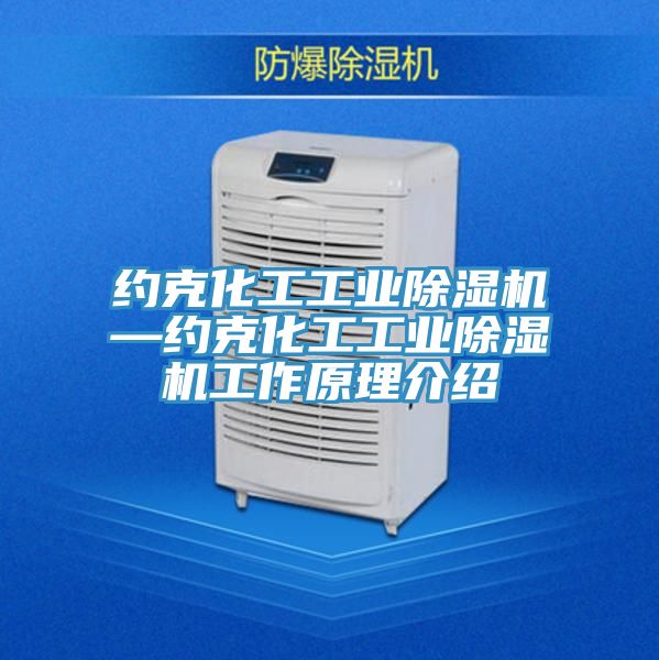 约克化工工业除湿机—约克化工工业除湿机工作原理介绍