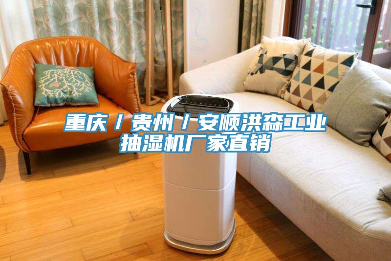 重庆／贵州／安顺洪森工业抽湿机厂家直销