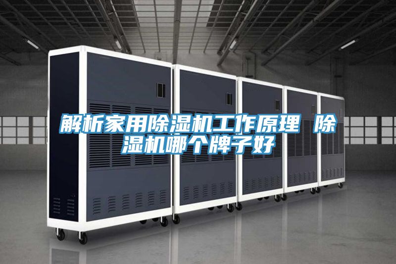 解析家用除湿机工作原理 除湿机哪个牌子好