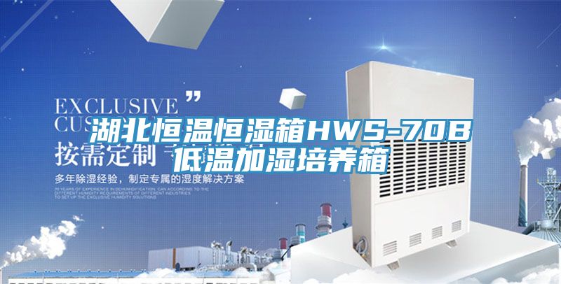 湖北恒温恒湿箱HWS-70B低温加湿培养箱