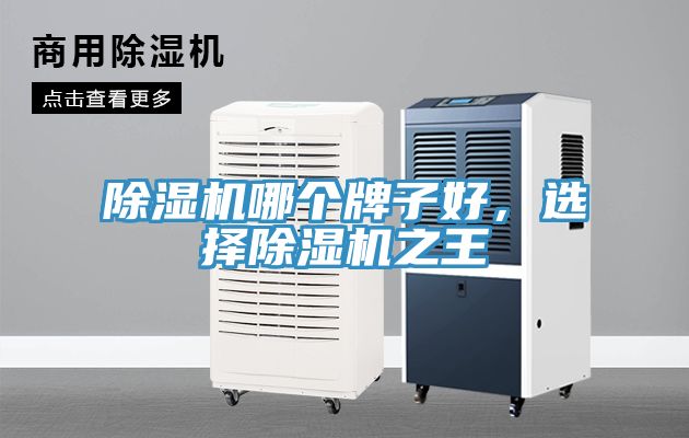 除湿机哪个牌子好，选择除湿机之王