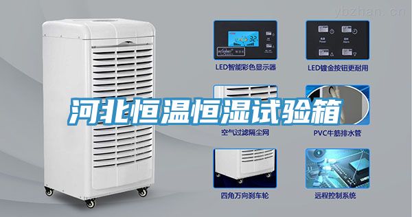 河北恒温恒湿试验箱