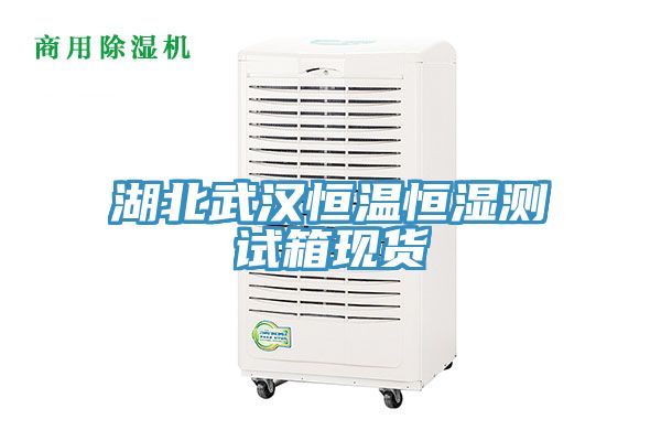 湖北武汉恒温恒湿测试箱现货