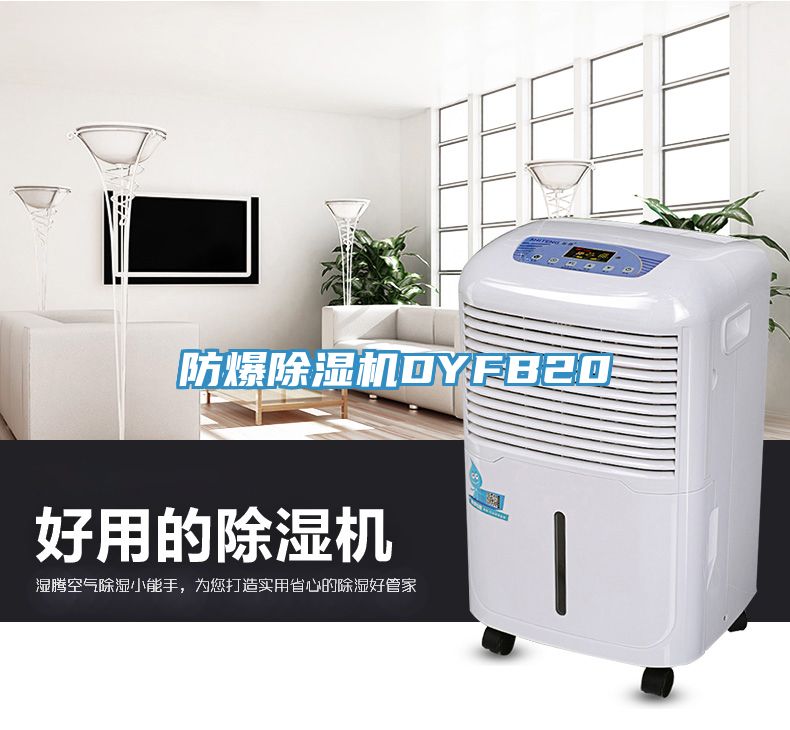 防爆除湿机DYFB20