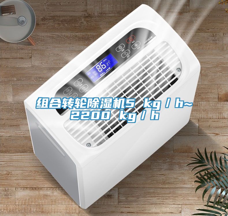 组合转轮除湿机5 kg／h~2200 kg／h