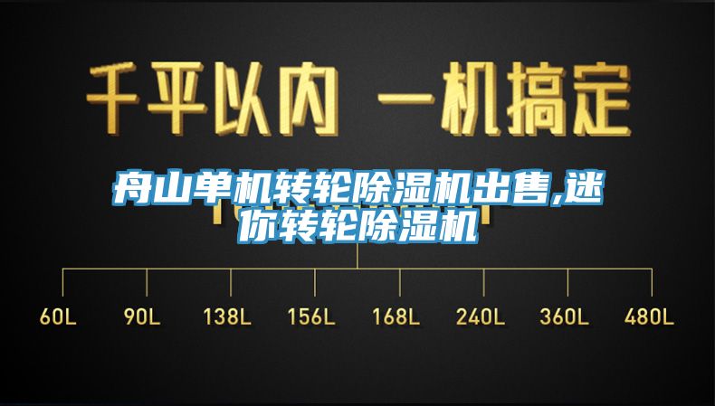 舟山单机转轮除湿机出售,迷你转轮除湿机