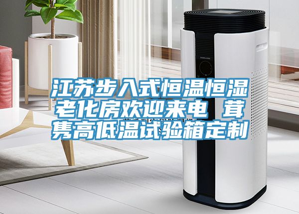 江苏步入式恒温恒湿老化房欢迎来电 茸隽高低温试验箱定制