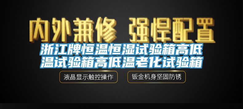 浙江牌恒温恒湿试验箱高低温试验箱高低温老化试验箱