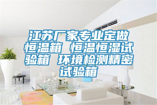 江苏厂家专业定做恒温箱 恒温恒湿试验箱 环境检测精密试验箱