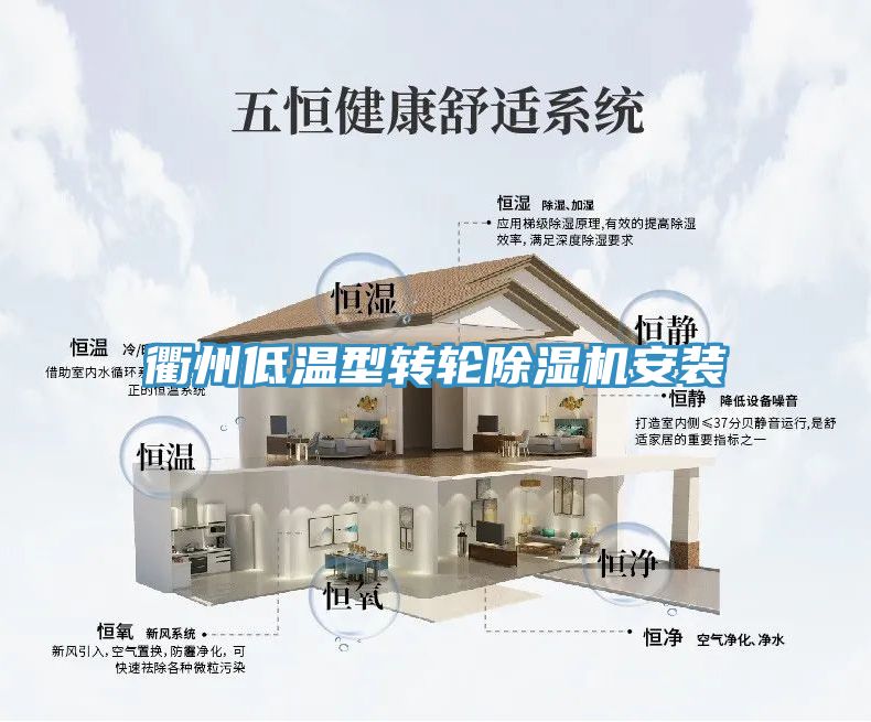 衢州低温型转轮除湿机安装