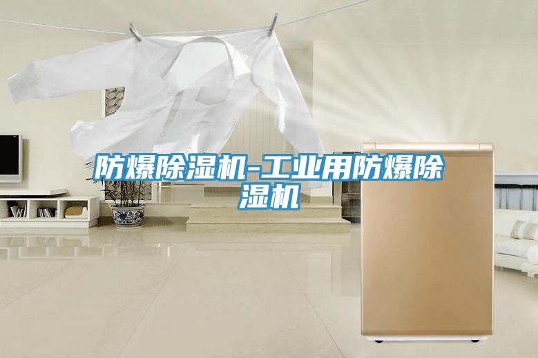 防爆除湿机-工业用防爆除湿机