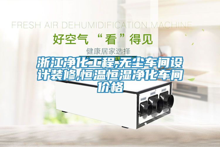浙江净化工程,无尘车间设计装修,恒温恒湿净化车间价格