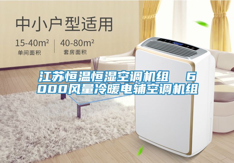 江苏恒温恒湿空调机组  6000风量冷暖电辅空调机组