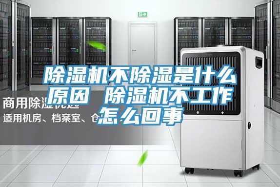 除湿机不除湿是什么原因 除湿机不工作怎么回事