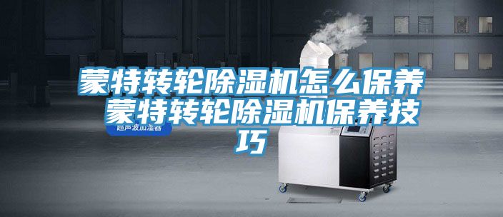蒙特转轮除湿机怎么保养 蒙特转轮除湿机保养技巧