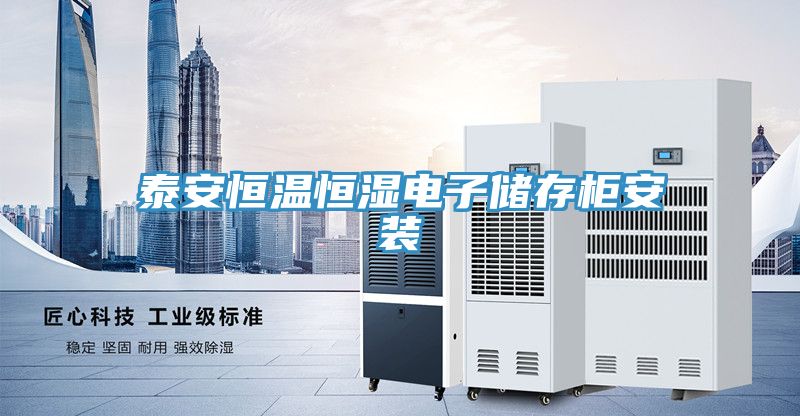 泰安恒温恒湿电子储存柜安装