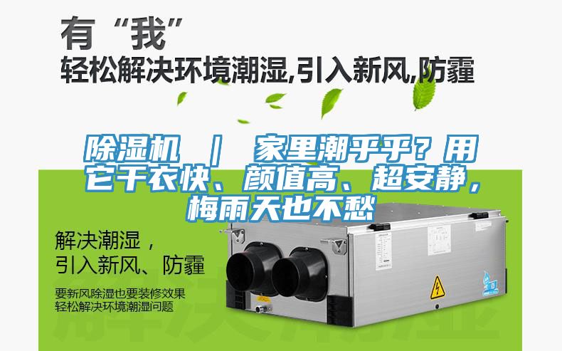 除湿机 ｜ 家里潮乎乎？用它干衣快、颜值高、超安静，梅雨天也不愁