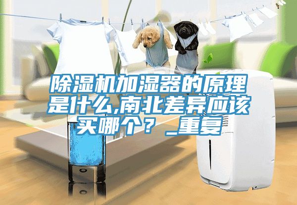 除湿机加湿器的原理是什么,南北差异应该买哪个？_重复