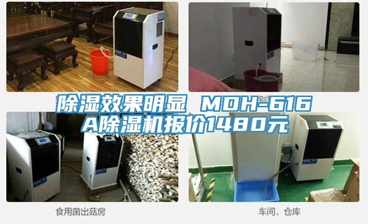 除湿效果明显 MDH-616A除湿机报价1480元
