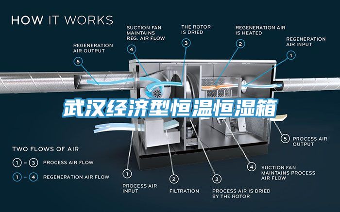 武汉经济型恒温恒湿箱