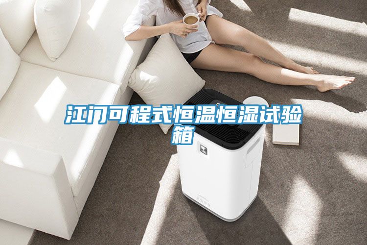 江门可程式恒温恒湿试验箱