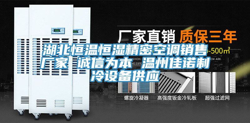 湖北恒温恒湿精密空调销售厂家 诚信为本 温州佳诺制冷设备供应