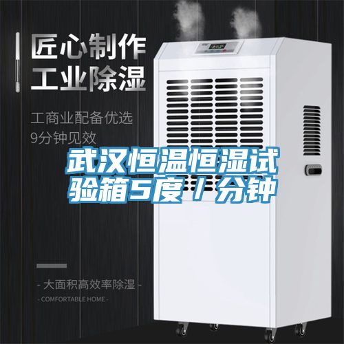 武汉恒温恒湿试验箱5度／分钟