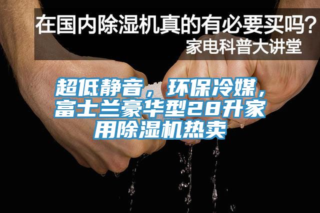 超低静音，环保冷媒，富士兰豪华型28升家用除湿机热卖