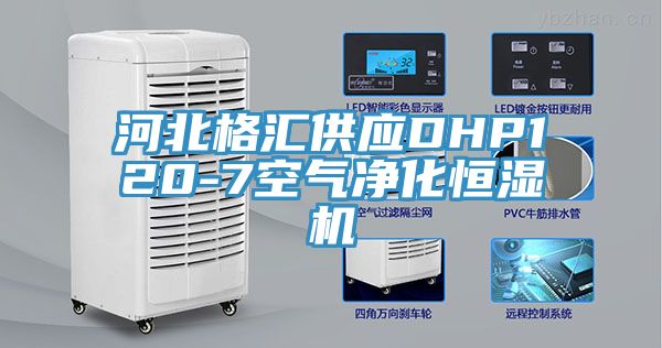 河北格汇供应DHP120-7空气净化恒湿机