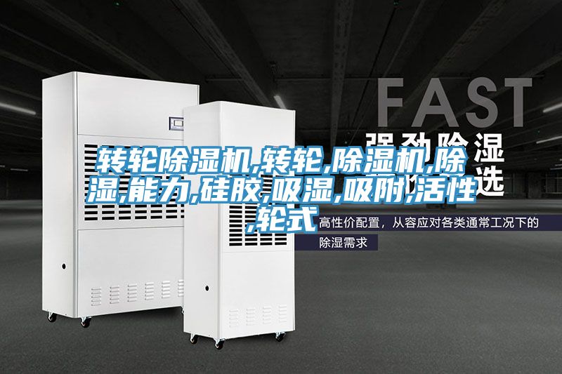 转轮除湿机,转轮,除湿机,除湿,能力,硅胶,吸湿,吸附,活性,轮式