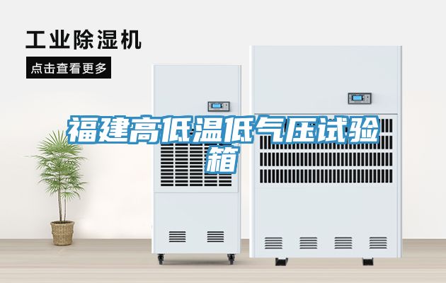 福建高低温低气压试验箱