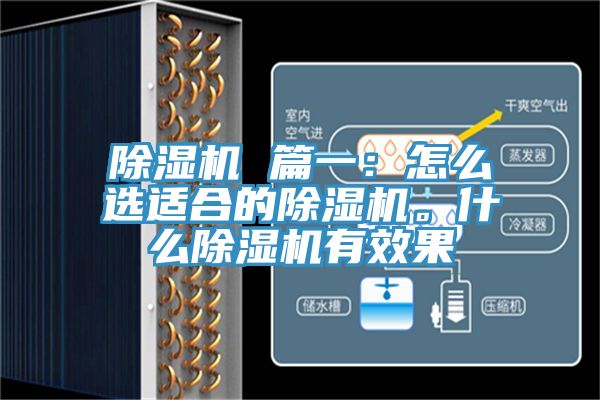 除湿机 篇一：怎么选适合的除湿机。什么除湿机有效果